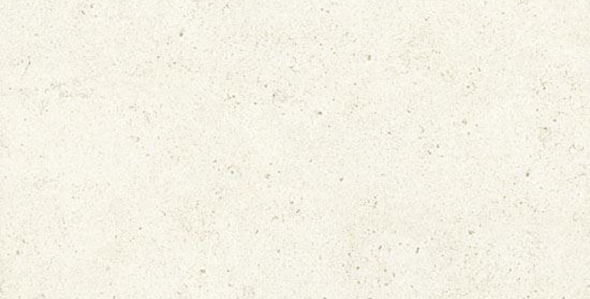 Porcelain stoneware Buxy Corail Blanc Naturale 500*1000*3,5 фото №1