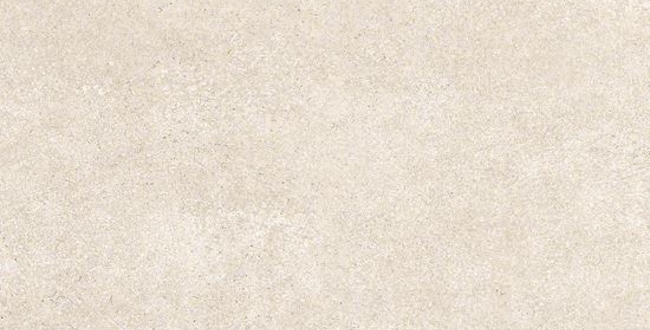 Porcelain stoneware Over Openspace Naturale 500*1000*3,5 фото №1