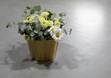 Porcelain stoneware worktop Ascale Cosmopolita Gray 320х160x20(+) photo #2