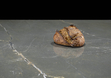 Столешница из керамогранита Crotone Pulpis 320х160х6(+) фото №3