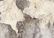 Porcelain stoneware FONDOVALLE Infinito 2.0 Patagonia 1200x2780x6,5 Glossy photo #3
