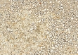 Porcelain stoneware Terra Dolce 600x600x6 Mat photo #1