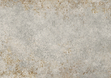 Porcelain stoneware Tagina METAL IRON 60x120x9 photo #1