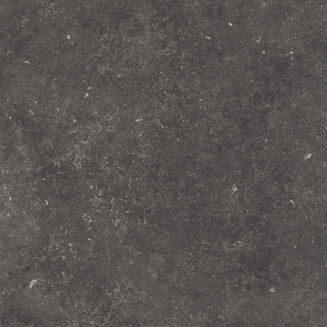 Porcelain stoneware Tagina NAMUR FONCÉ фото №1